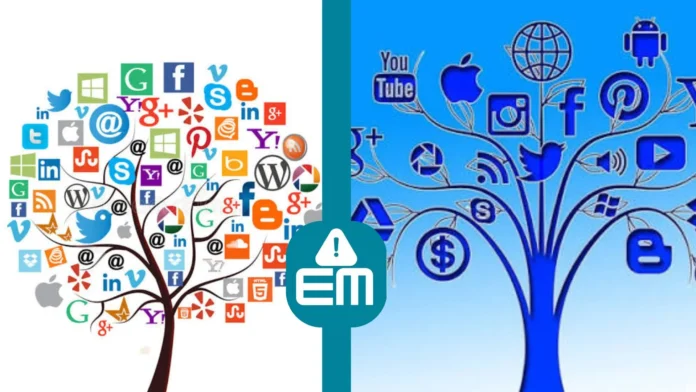Social Media Stuff EmbedTree
